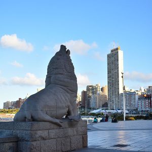 MONUMENTO LOBO MARINO