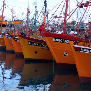 MAR DEL PLATA SECRETA