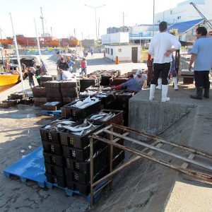 BANQUINA DE PESCADORES MAR DEL PLATA