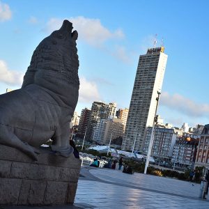 MONUMENTO AL LOBO MARINO