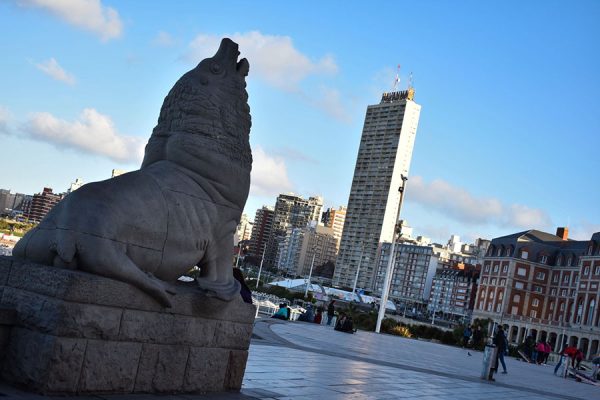 LOBO MARINO MAR DEL PLATA SECRETA