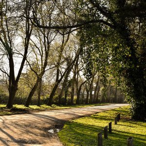 MAR DEL PLATA SECRETA