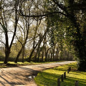 MAR DEL PLATA SECRETA