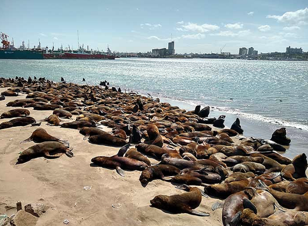 MAR DEL PLATA SECRETA