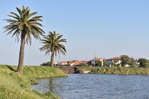MAR DEL PLATA SECRETA