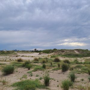 MAR DEL PLATA SECRETA