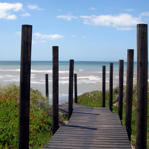 MAR DEL PLATA SECRETA
