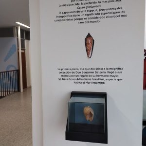MAR DEL PLATA SECRETA