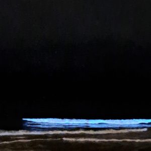 MAR DEL PLATA SECRETA