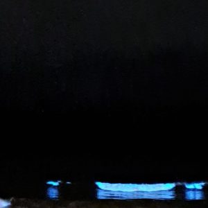 MAR DEL PLATA SECRETA