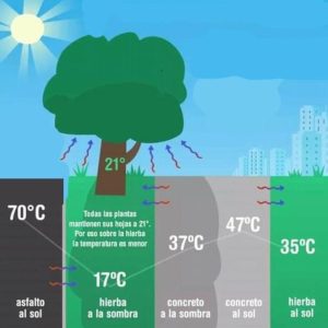 MAR DEL PLATA SECRETA