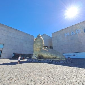 MAR DEL PLATA SECRETA